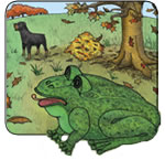 WatchFrog watching Nick and trying to learn to bark