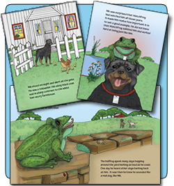 Pages from the watchfrog story